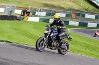 Evening_Low_Mid_Group